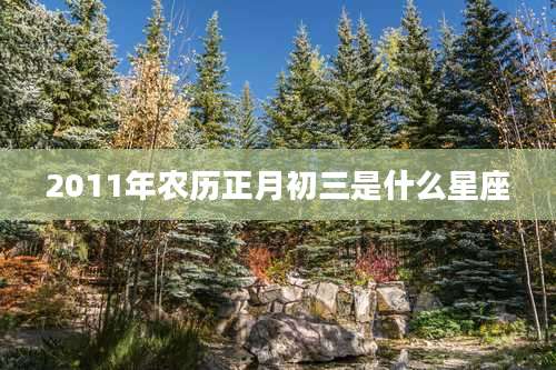 2011年农历正月初三是什么星座