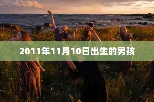 2011年11月10日出生的男孩