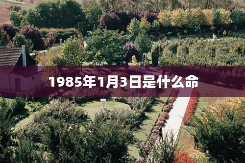 1985年1月3日是什么命