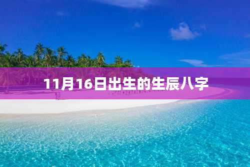11月16日出生的生辰八字
