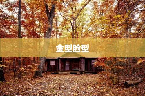 金型脸型
