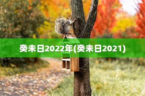 癸未日2022年(癸未日2021)