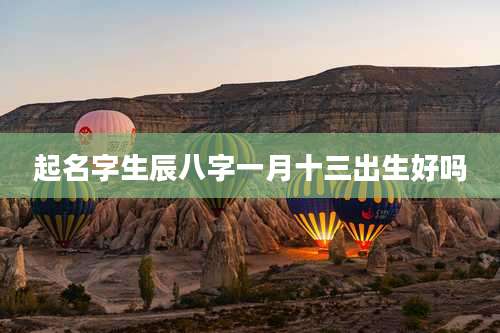 起名字生辰八字一月十三出生好吗