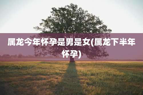 属龙今年怀孕是男是女(属龙下半年怀孕)