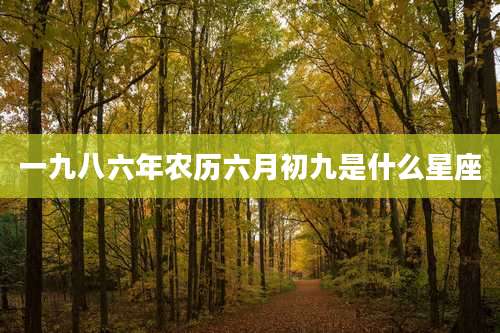 一九八六年农历六月初九是什么星座
