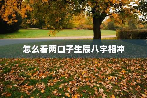 怎么看两口子生辰八字相冲