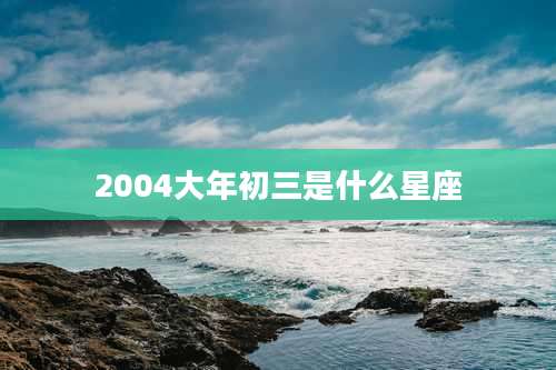 2004大年初三是什么星座