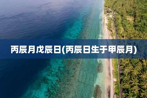 丙辰月戊辰日(丙辰日生于甲辰月)