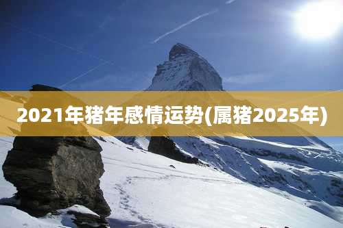 2021年猪年感情运势(属猪2025年)