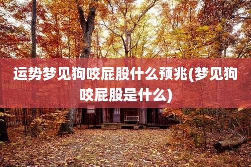 运势梦见狗咬屁股什么预兆(梦见狗咬屁股是什么)