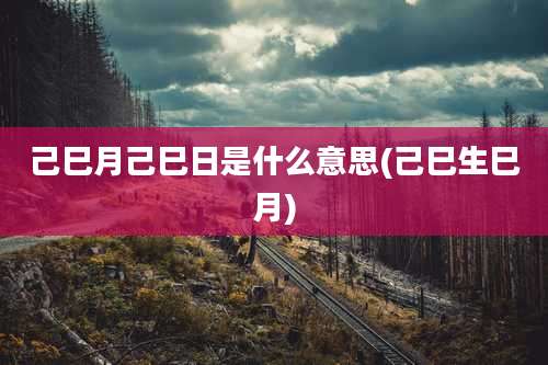 己巳月己巳日是什么意思(己巳生巳月)