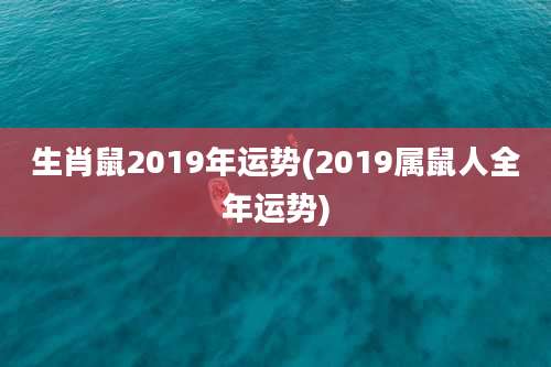 生肖鼠2019年运势(2019属鼠人全年运势)