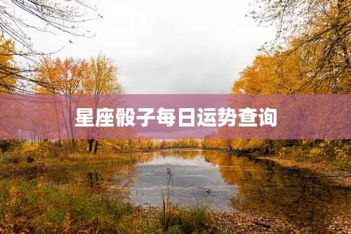 星座骰子每日运势查询