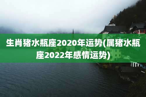 生肖猪水瓶座2020年运势(属猪水瓶座2022年感情运势)