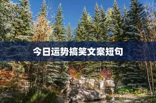 今日运势搞笑文案短句