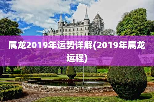 属龙2019年运势详解(2019年属龙运程)