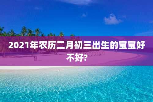 2021年农历二月初三出生的宝宝好不好?
