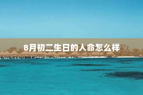 8月初二生日的人命怎么样