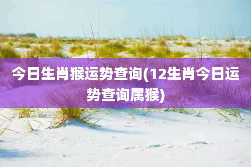 今日生肖猴运势查询(12生肖今日运势查询属猴)