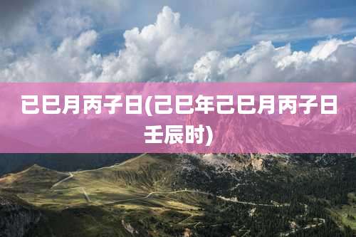 已巳月丙子日(己巳年己巳月丙子日壬辰时)