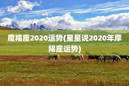 魔羯座2020运势(星星说2020年摩羯座运势)