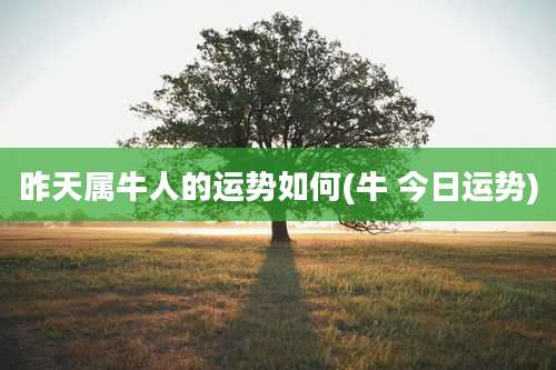 昨天属牛人的运势如何(牛 今日运势)