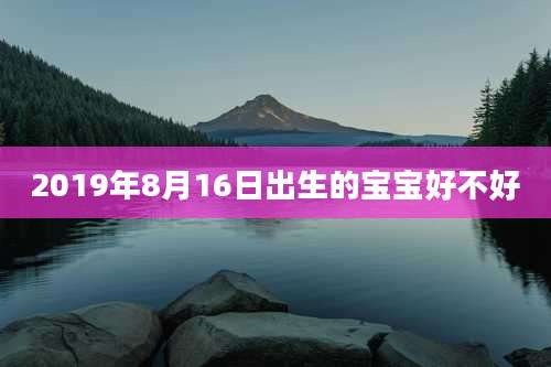 2019年8月16日出生的宝宝好不好
