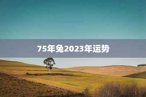 75年兔2023年运势