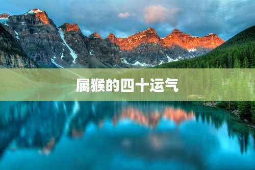 属猴的四十运气