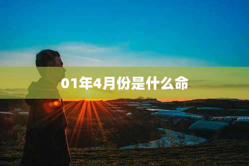 01年4月份是什么命