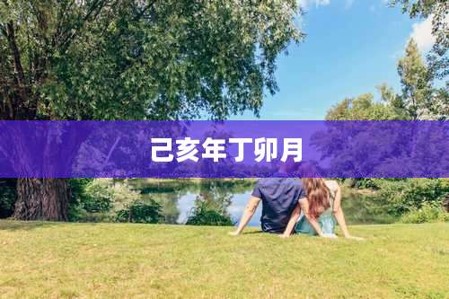 己亥年丁卯月