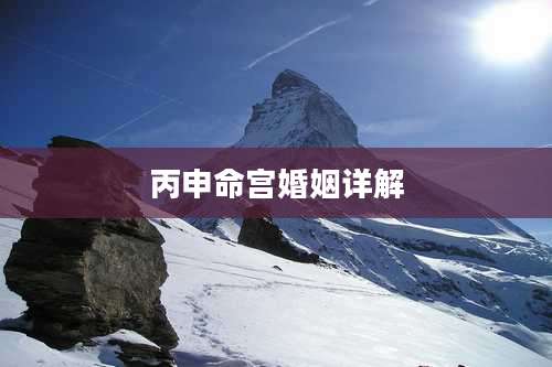 丙申命宫婚姻详解