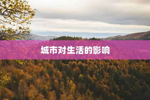 城市对生活的影响