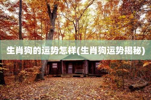 生肖狗的运势怎样(生肖狗运势揭秘)