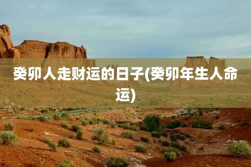 癸卯人走财运的日子(癸卯年生人命运)