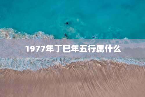 1977年丁巳年五行属什么