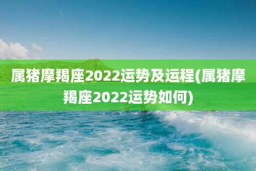 属猪摩羯座2022运势及运程(属猪摩羯座2022运势如何)