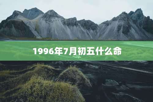 1996年7月初五什么命