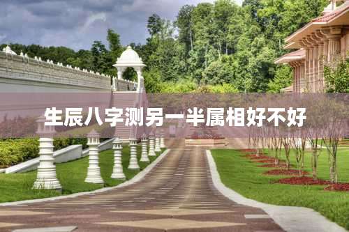 生辰八字测另一半属相好不好
