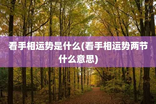 看手相运势是什么(看手相运势两节什么意思)