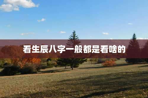 看生辰八字一般都是看啥的