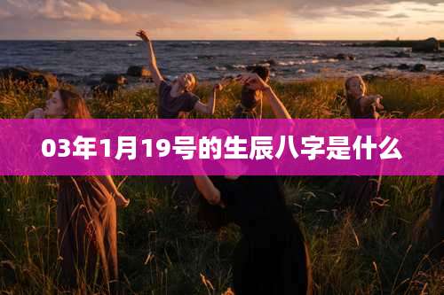 03年1月19号的生辰八字是什么