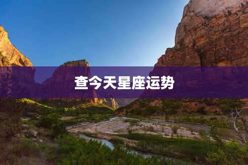 查今天星座运势