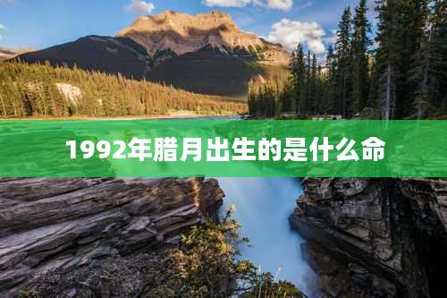 1992年腊月出生的是什么命