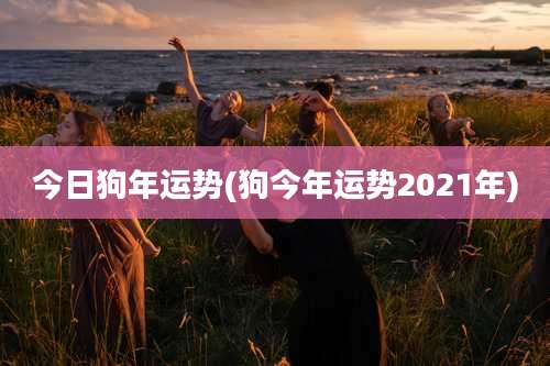 今日狗年运势(狗今年运势2021年)