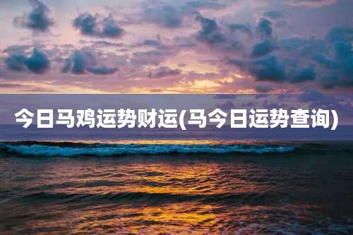 今日马鸡运势财运(马今日运势查询)