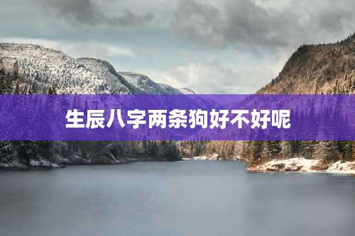 生辰八字两条狗好不好呢