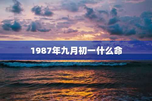 1987年九月初一什么命