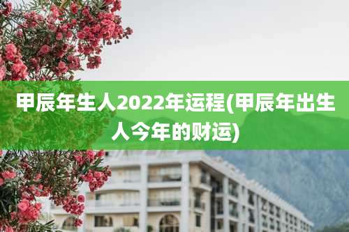 甲辰年生人2022年运程(甲辰年出生人今年的财运)