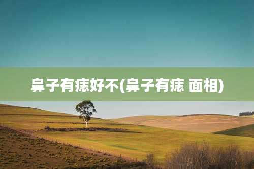 鼻子有痣好不(鼻子有痣 面相)